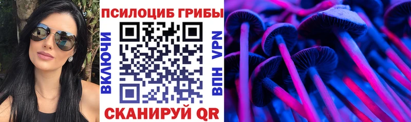 Купить закладки  Энгельс  Псилоцибиновые грибы Magic Shrooms 